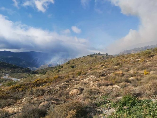 Lugar donde se ha producido el incendio (INFOCA) 