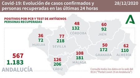 Evolución diaria de la pandemia en Andalucía (JUNTA DE ANDALUCÍA) 