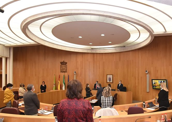 Pleno de la Diputación de Granada (DIPGRA) 