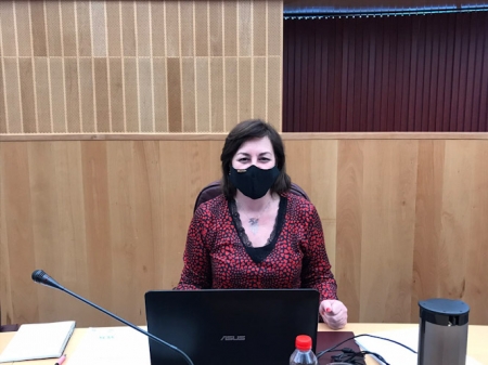 Cristina Jiménez, Diputada Provincial de Vox (VOX)