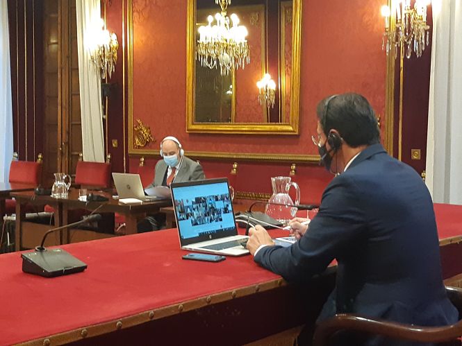 Imagen del Pleno telemático del Ayuntamiento de Granada (AYTO. GRANADA) 