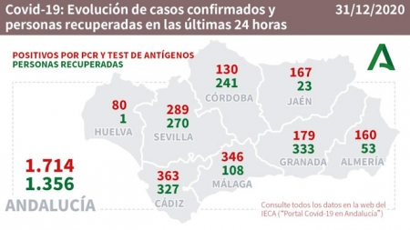 Evolución diaria de la pandemia en Andalucía (JUNTA DE ANDALUCÍA) 