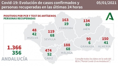 Evolución diaria de la pandemia en Andalucía (JUNTA DE ANDALUCÍA) 
