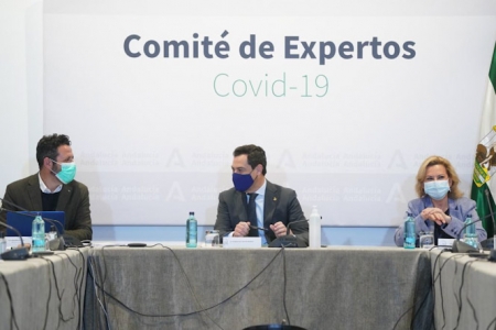Imagen de la reunión del comité de expertos (JUNTA DE ANDALUCÍA)
