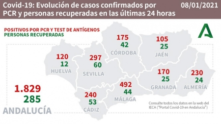 Evolución diaria de la pandemia en Andalucía (JUNTA DE ANDALUCÍA) 