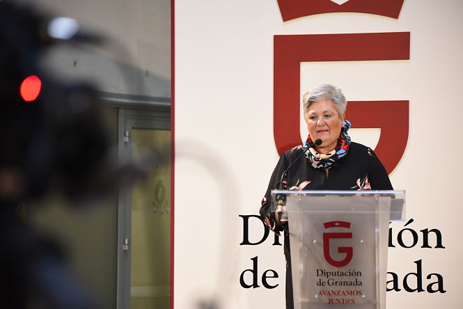 La diputada de Asistencia a Municipios, María Ángeles Blanco (DIPUTACIÓN)