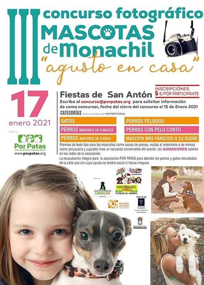 AYUNTAMIENTO MONACHIL 