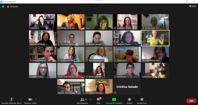 Imagen del Networking telemático (ANDALUCÍA EMPRENDE)