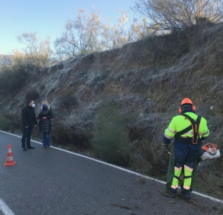 Imagen de las tareas de desbroce (AYTO. GRANADA) 