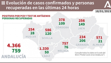 Evolución diaria de la pandemia en Andalucía (JUNTA DE ANDALUCÍA) 
