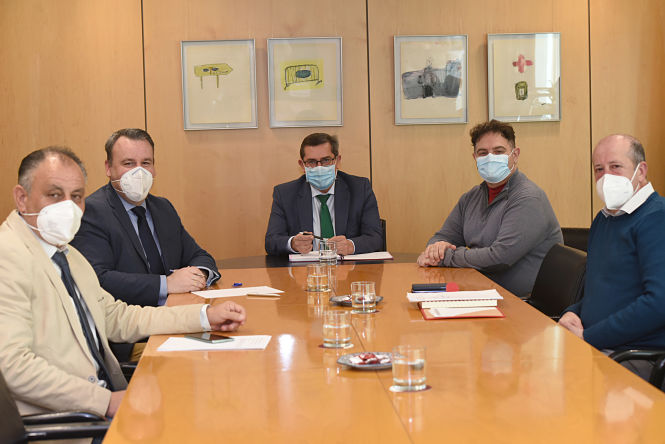 Imagen de la reunión (R. MARTÍNEZ / DIPGRA)