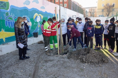 Imagen de la plantación de un árbol (JAVIER ALGARRA /AYUNTAMIENTO) 