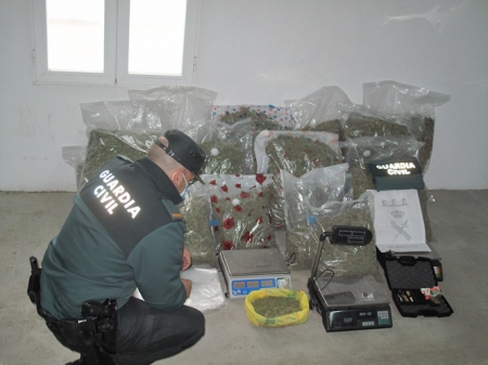 Imagen de marihuana incautada (GUARDIA CIVIL) Imagen de marihuana incautada (GUARDIA CIVIL)