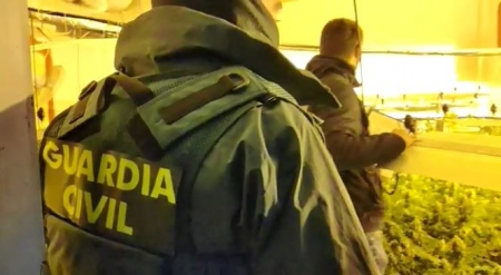 Agentes de la Guardia Civil en una de las plantaciones (GUARDIA CIVIL)