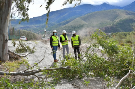 Árbol caído sobre el cauce del Río Seco (JUNTA)