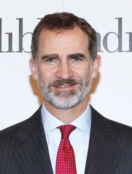 Su majestad, el Rey de España, Felipe VI (WIKIPEDIA) 