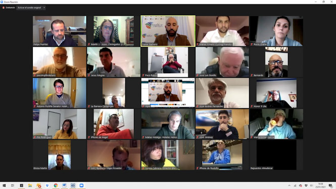 Imagen de la reunión telemática (AYTO. ALMUÑECAR) 