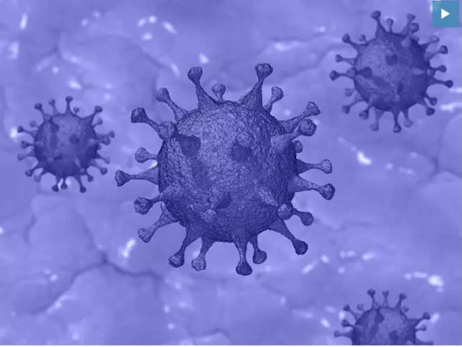Covid-19, nuevo coronavirus (CLINICA MARGEN) 