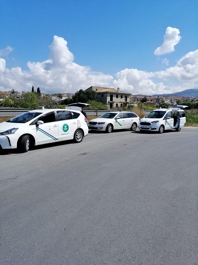 Varios de los taxis que prestan servicio en el municipio de Monachil (AYTO. MONACHIL)