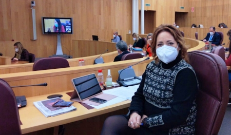 La Diputada Provincial de IU, Mari Carmen Pérez (IU) 