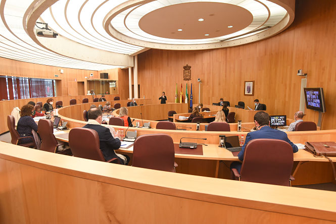 Pleno ordinario de la Diputación de Granada (DIPUTACIÓN) 