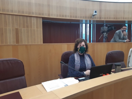 Cristina Jiménez, Diputada provincial de VOX (VOX) Cristina Jiménez, Diputada provincial de VOX (VOX)