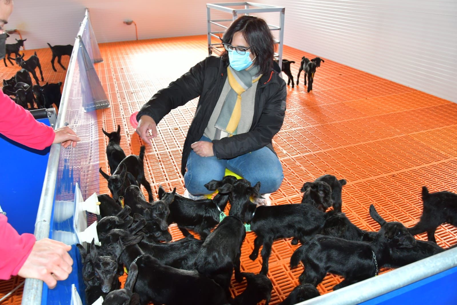 La delegada de Agricultura, Ganadería y Pesca de la Junta en Granada, María José Martín (JUNTA) 
