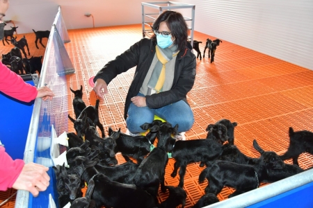 La delegada de Agricultura, Ganadería y Pesca de la Junta en Granada, María José Martín (JUNTA) 