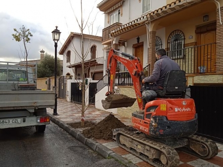 Operarios del Ayuntamiento de Cúllar Vega durante la plantación de árboles (AYTO. CÚLLAR VEGA)