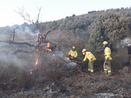 Bomberos del Infoca trabajando en la zona del incendio (INFOCA) Bomberos del Infoca trabajando en la zona del incendio (INFOCA)