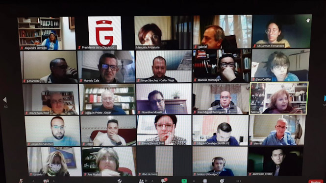 Imagen de la reunión telemática (DIPUTACIÓN)