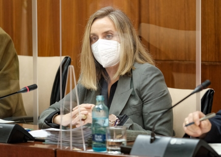 La Consejera de Fomento, Marifrán Carazo (JUNTA) La Consejera de Fomento, Marifrán Carazo (JUNTA)