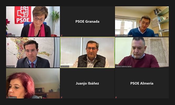 Imagen de la reunión telemática (PSOE) 