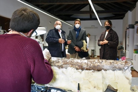 Imagen de la restauración del mastodonte (AYTO. BAZA) Imagen de la restauración del mastodonte (AYTO. BAZA)