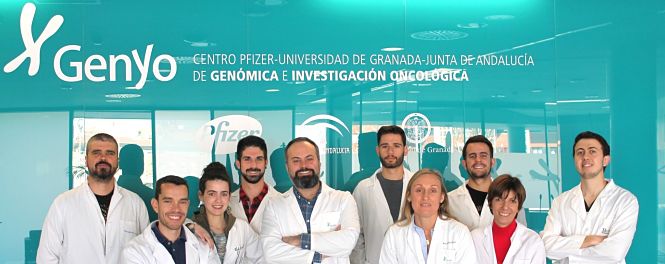 grupo de investigación que ha realizado este trabajo (UGR)