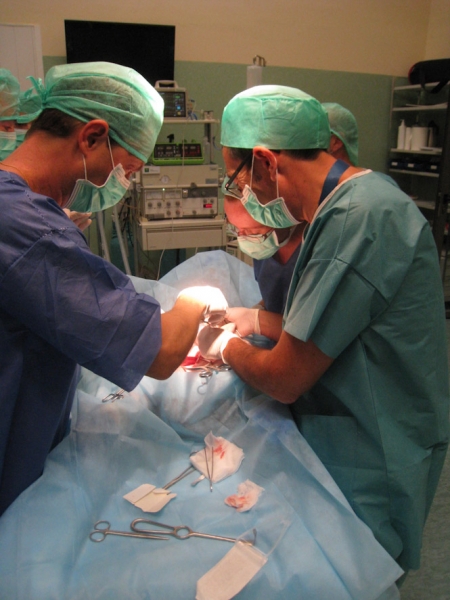 Imagen de un transplante (JUNTA)