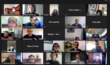 Imagen de la reunión telemática (DIPUTACIÓN) 