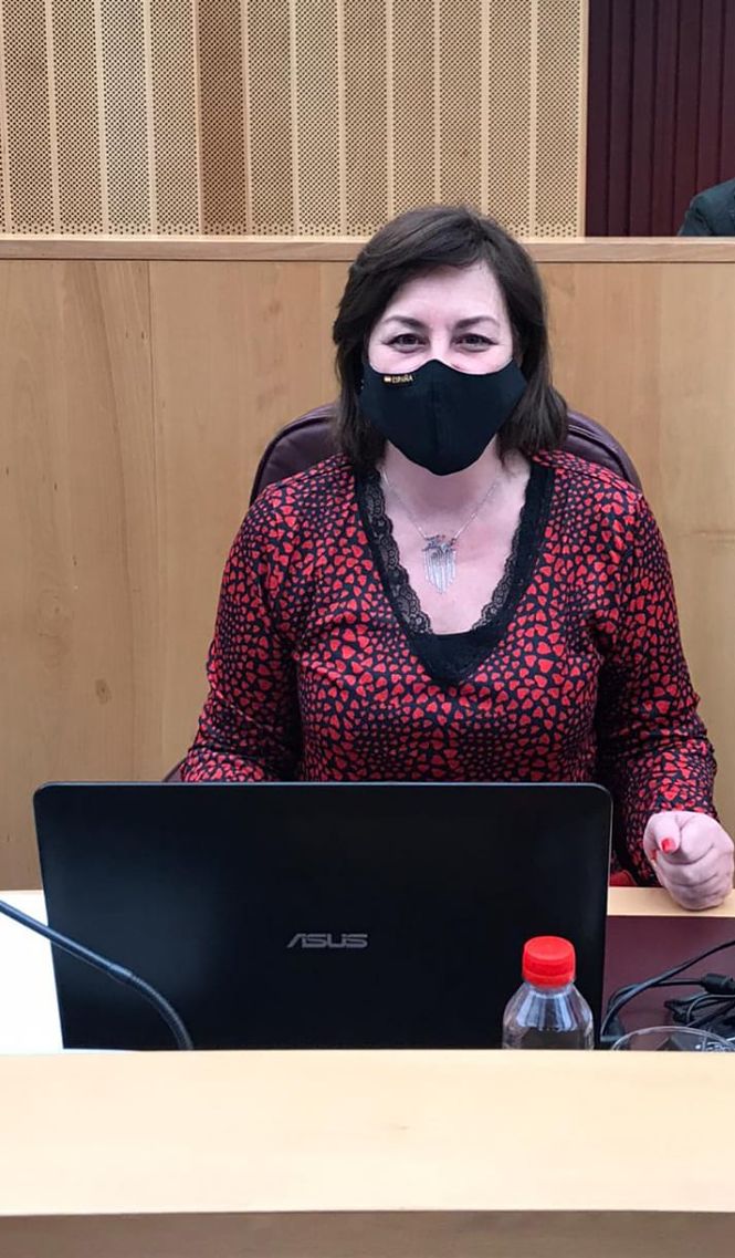 La Diputada provincial de VOX, Cristina Jiménez (VOX)