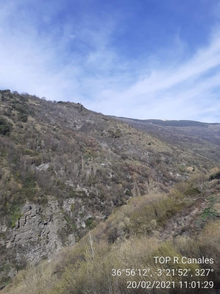 Lugar donde se ha producido el incendio (INFOCA) Lugar donde se ha producido el incendio (INFOCA)