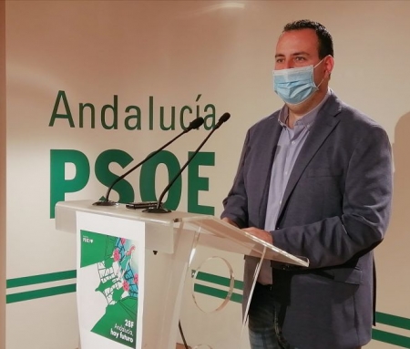 El secretario de Organización del PSOE de Granada, Álex Casares (PSOE)