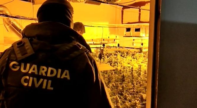 Agentes de la Guardia Civil en una de las plantaciones (GUARDIA CIVIL)