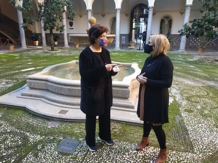 Elisa Cabrerizo y Maria de Leyva han presentado la moción (PODEMOS-IU)