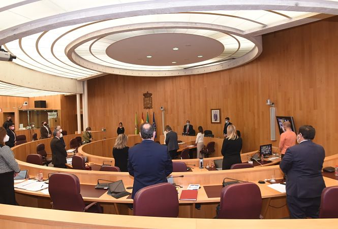 Minuto de silencio en el inicio del pleno (M. LOPEZOSA / DIPGRA)
