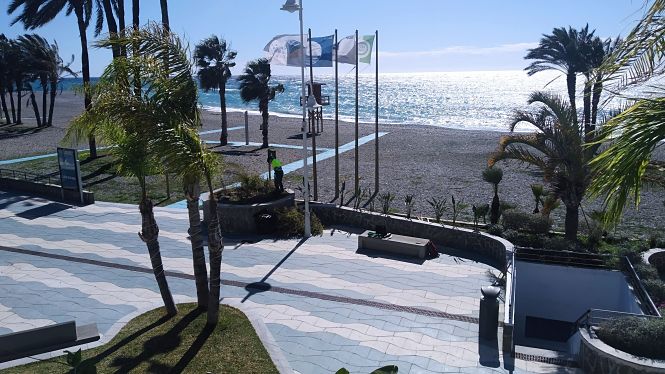 Poda y acondicionamiento de jardineras (AYTO. ALMUÑECAR) 