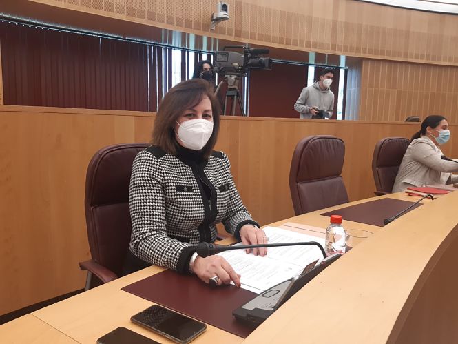 La Diputada provincial de VOX, Cristina Jiménez (VOX)