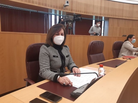 La Diputada provincial de VOX, Cristina Jiménez (VOX)