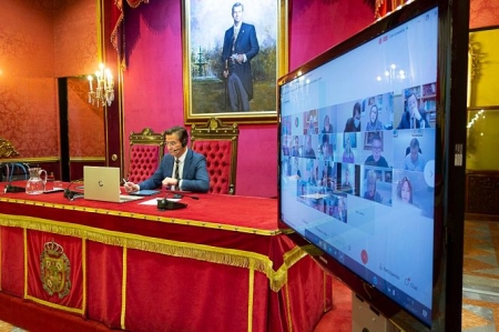Imagen del Pleno telemático del Ayuntamiento de Granada (AYTO. GRANADA)