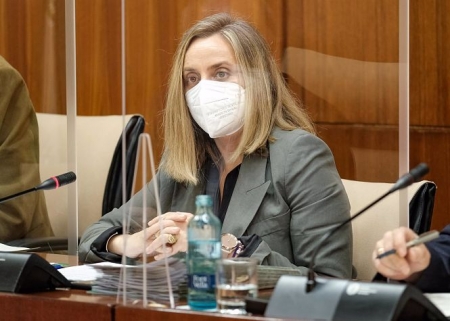 La consejera de Fomento, Infraestructuras y Ordenación del Territorio, Marifrán Carazo, en imagen de archivo (ALFREDO DE ANCA) 