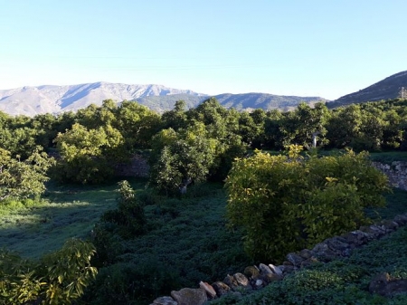 Imagen de recurso de un aguacate (ONGRANADA)