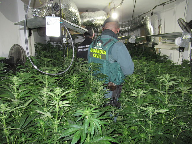 Un agente de la Guardia Civil en uno de los centros desarticulados (GUARDIA CIVIL) 